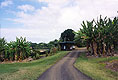 coffpltt.jpg (8844 bytes)