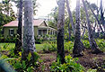 houset.jpg (13283 bytes)