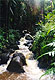 streamrkt.jpg (9007 bytes)