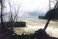 surfsilht.jpg (9279 bytes)