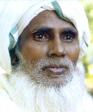 bawab3.jpg (23364 bytes)