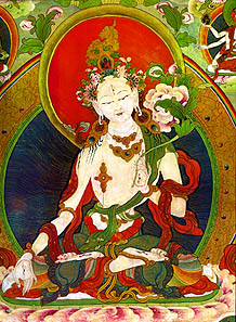 wtara5.jpg (48519 bytes)